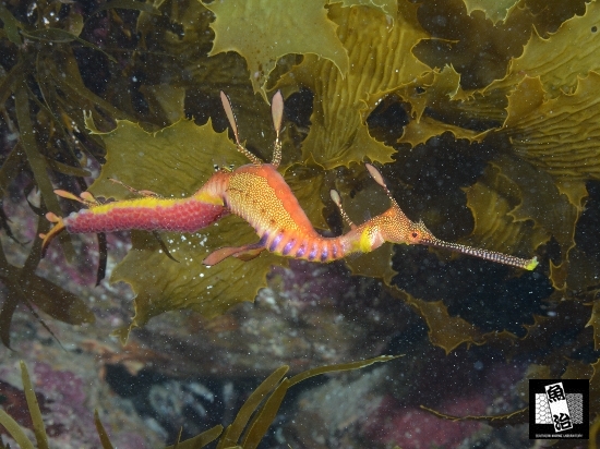 a0150039_10415033.jpg