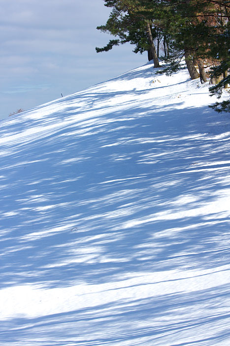 c0067040_23173722.jpg