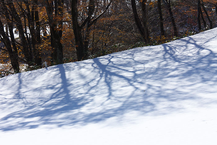 c0067040_23231760.jpg