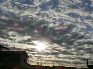 c0141844_23565613.jpg