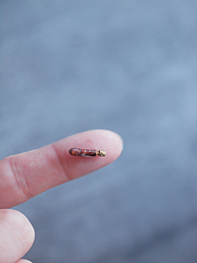 miniature* 引き出し棚。 娘の最後の発表会_e0172847_16142340.jpg