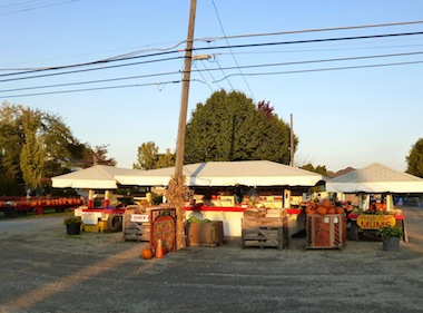 ＹＡＴＥＳ　Ｃｉｄｅｒ　Ｍｉｌｌ_a0123450_1311119.jpg