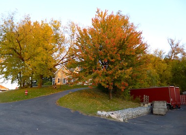 ＹＡＴＥＳ　Ｃｉｄｅｒ　Ｍｉｌｌ_a0123450_13144283.jpg