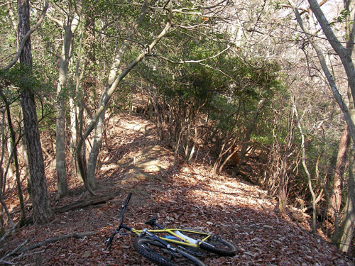 d0144550_22354814.jpg