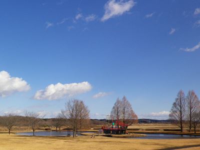 b0220251_20121620.jpg