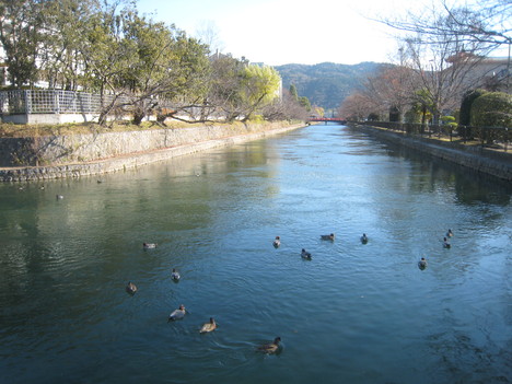 e0121558_22171471.jpg