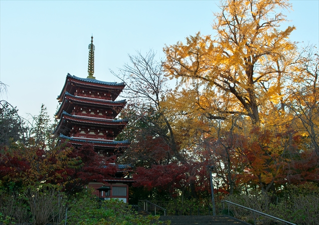 秋の本土寺　２０１３　２_f0018464_2020926.jpg