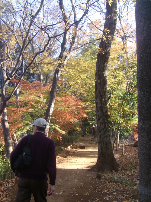 埼玉県川口市　興禅院の紅葉_d0157266_1011744.jpg