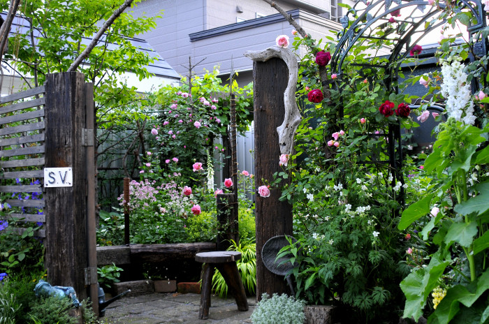 7月の庭の風景 judeの庭と薔薇のカヲリ 7月の庭の風景 judeの庭と薔薇のカヲリ