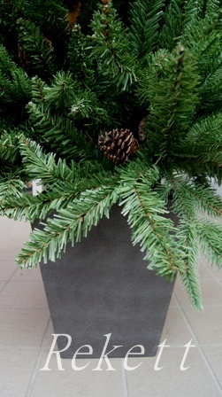素敵なポット付きクリスマスツリーご紹介~_f0029571_1263449.jpg