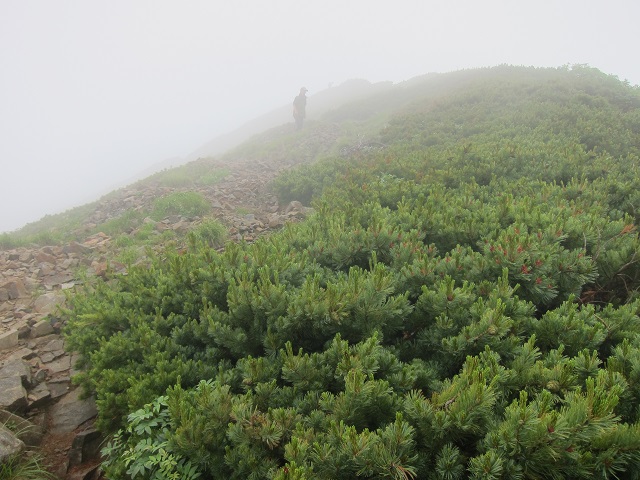 【 鹿島槍その４　鹿島槍山頂から～下山します☆ 】_f0202271_2345969.jpg