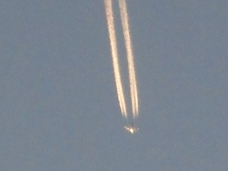 d0109373_22375935.jpg