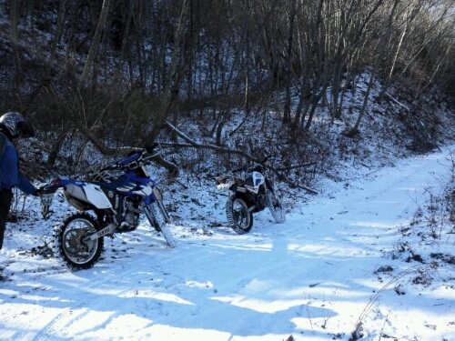 e0255775_17381718.jpg