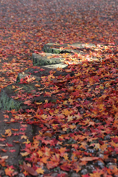 c0152779_9224712.jpg