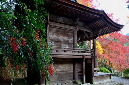 観心寺の紅葉　2013 ②_c0229483_9533677.jpg