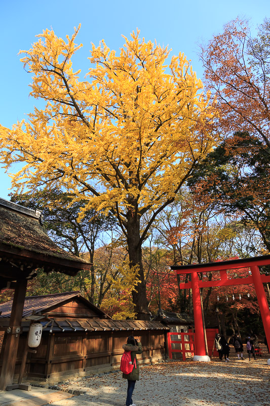 下鴨神社・糺の森へ_f0224083_1205394.jpg