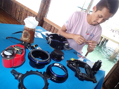 c0215593_7201821.jpg
