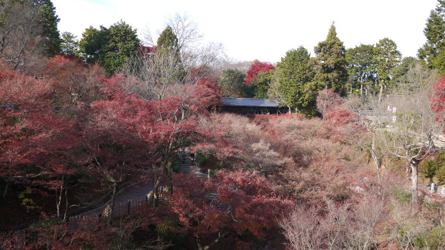 c0133096_19233156.jpg