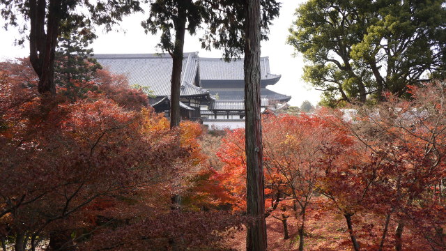 c0133096_19242642.jpg