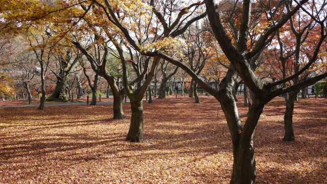 c0133096_19262936.jpg