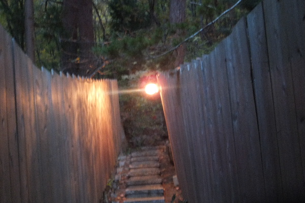 d0080998_21035550.jpg