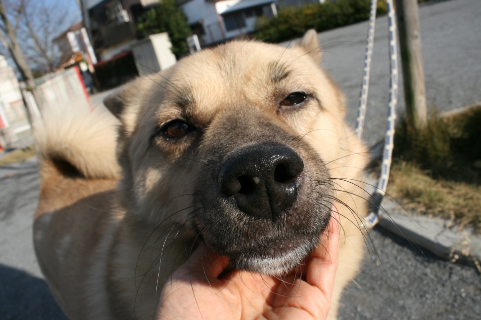 いつも穏やか草太くん_f0242002_19221226.jpg