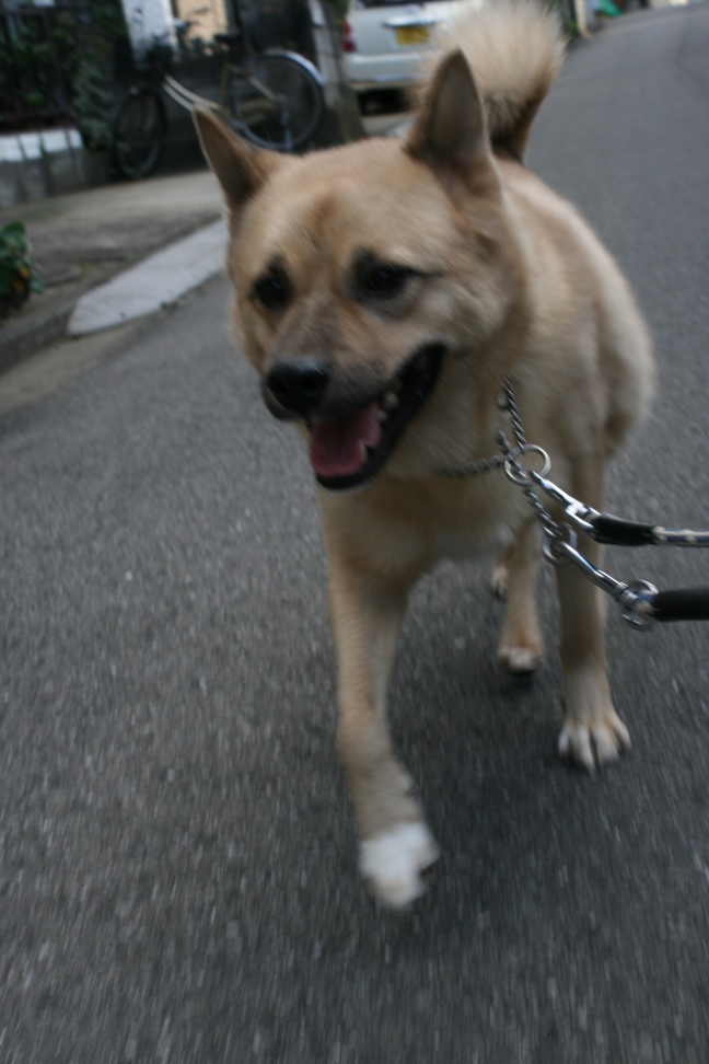 いつも穏やか草太くん_f0242002_19225679.jpg
