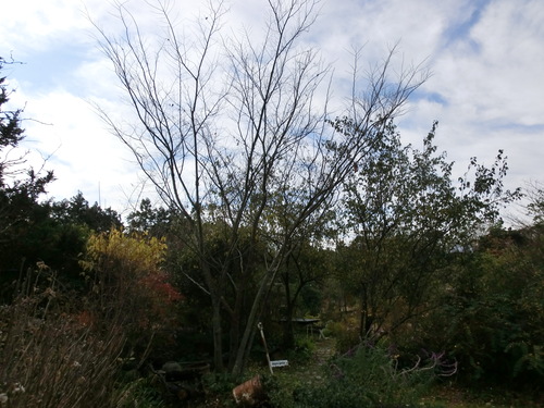 c0156104_16325895.jpg