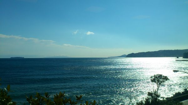 a0071805_9125541.jpg