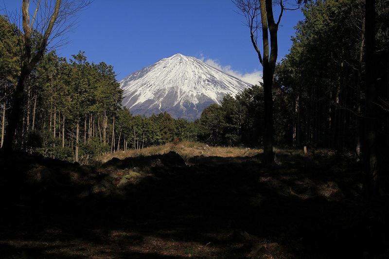 山宮浅間神社_a0188405_23221741.jpg