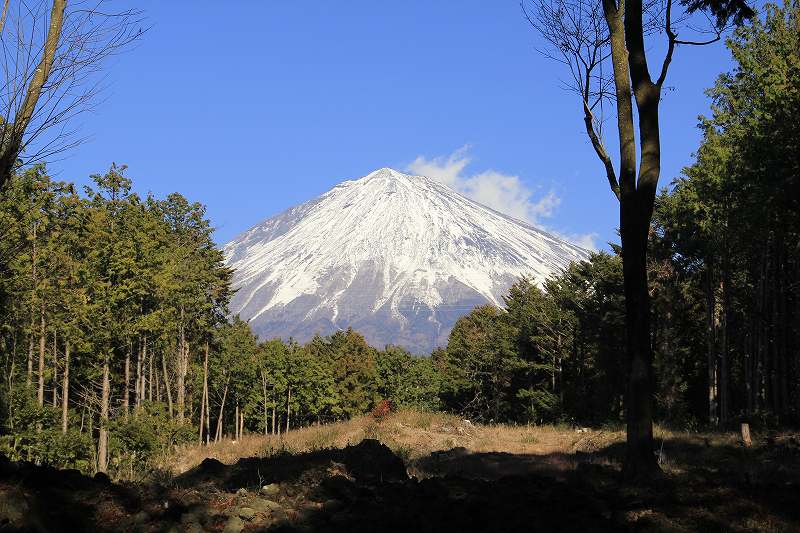 山宮浅間神社_a0188405_23344448.jpg