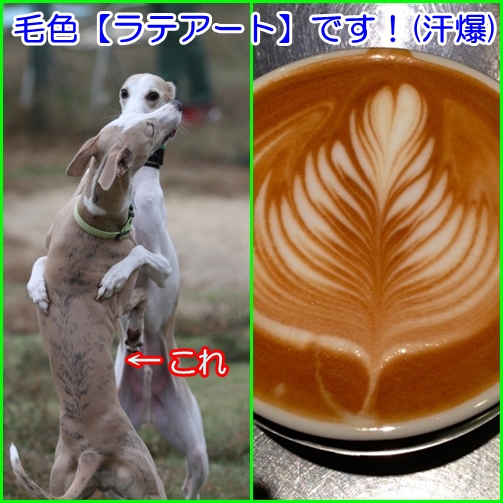 e0100007_22134844.jpg