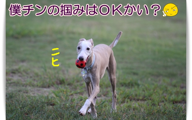 e0100007_22162310.jpg
