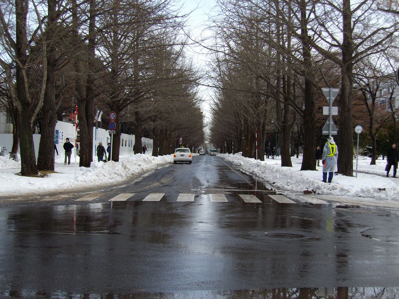暴風雪から一転して雪解けの札幌_c0025115_16445324.jpg