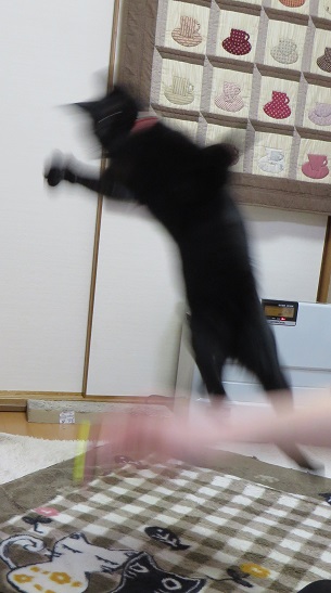 c0280322_23235636.jpg