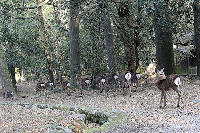 f0224624_528259.jpg