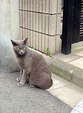 三歩進んで、、、_d0133128_23584973.jpg