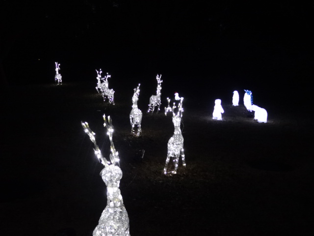 e0016828_2203015.jpg
