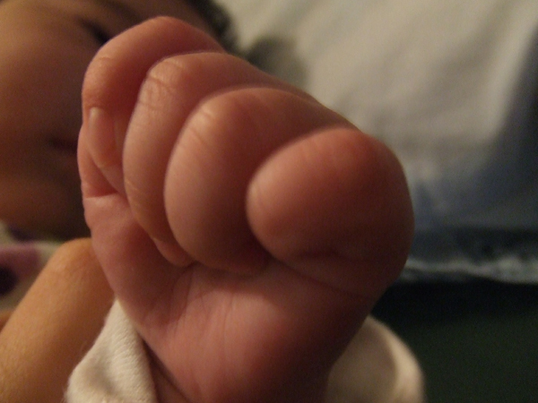 a0146929_8563150.jpg