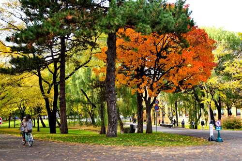 「蔵出し」北海道大学_c0317729_05362917.jpg