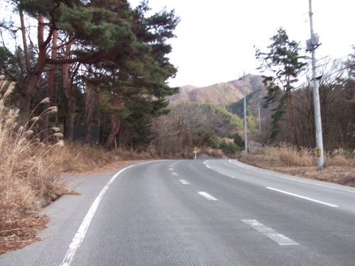 久しぶり　自転車!_f0304030_1942779.jpg