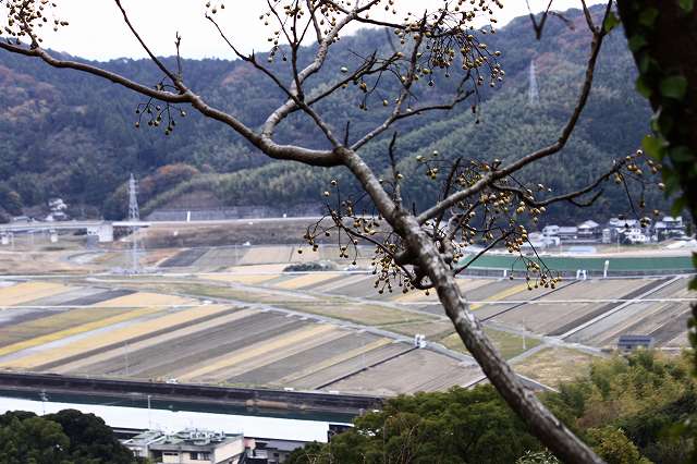 a0045932_2015777.jpg