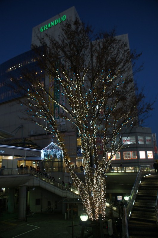a0122932_0274477.jpg