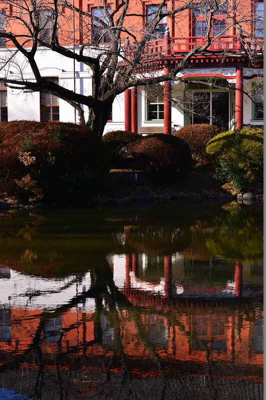 小石川植物園ワークショップ　ご報告_f0050534_16581222.jpg