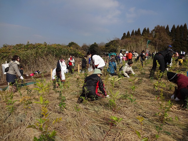 ふるさと命の森をつくる会_c0144038_17213054.jpg