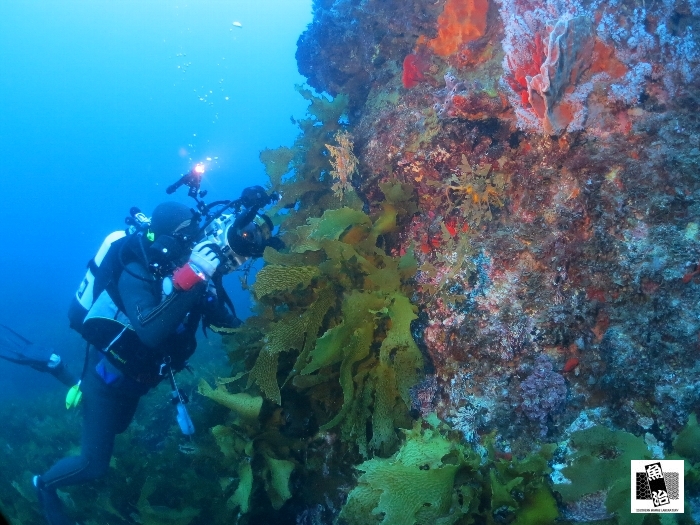 a0150039_1485469.jpg