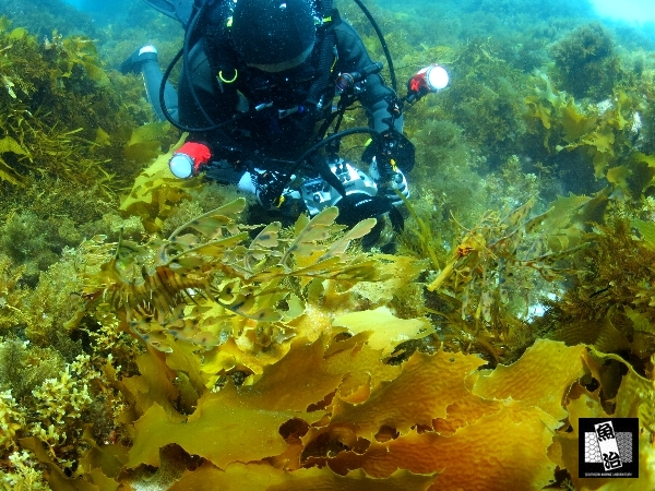 a0150039_23552126.jpg