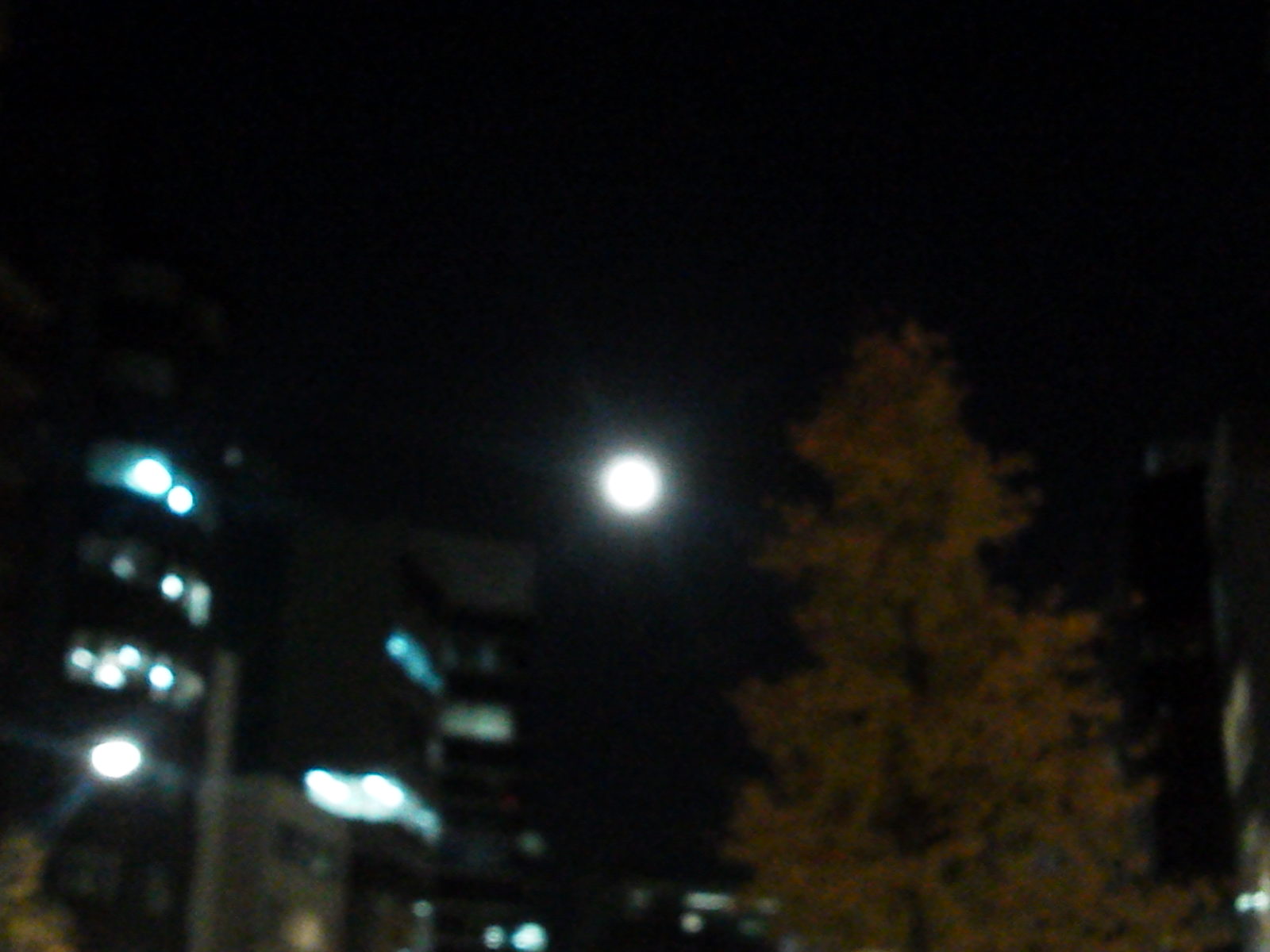 c0076939_2305682.jpg