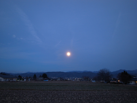 a0014840_2383873.jpg