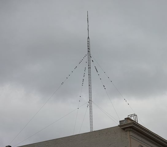 a0247342_10444418.jpg